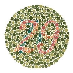 Ishihara test plate-4. Normal person see it as 29 while person with Red-green deficiency see it as 70