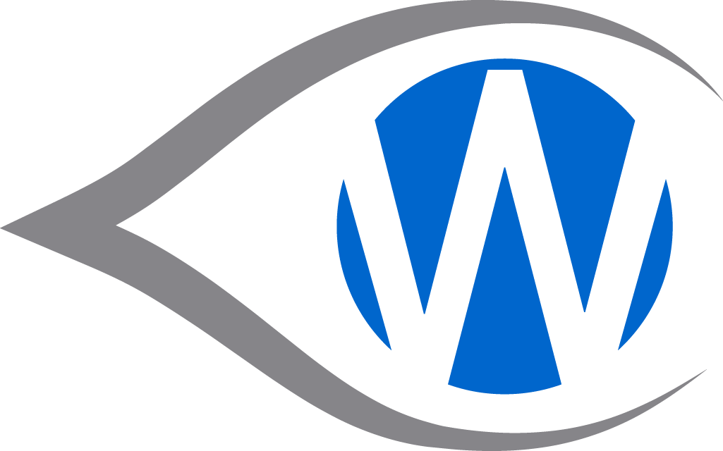 Open WebEyeClinic AI Chat